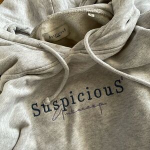 Suspicious Antwerp pullover hoodie